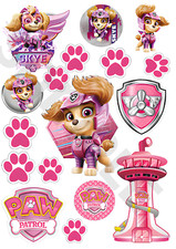 GIRL'S PARTY 🍰PAW PATROL