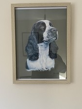 English Springer Spaniel Dog