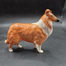 Vintage Rough Collie Dog
