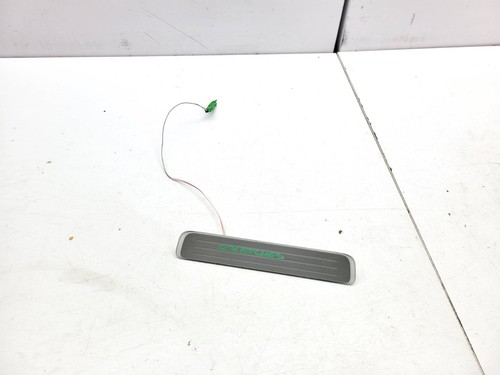 Rear door entry step sill - door,