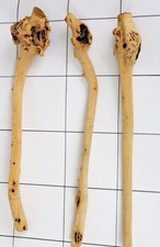 Aquarium natural Sava wood fish tank tree decoration aquascaping tall sticks