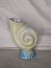 Vintage Seashell Nautilus