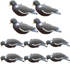 High definition pigeon decoy - definition,