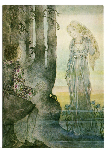 Evening star - evening,