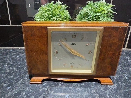 Vintage burr walnut - burr,