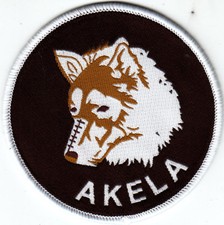 Boy Scout Cub Leader Badge