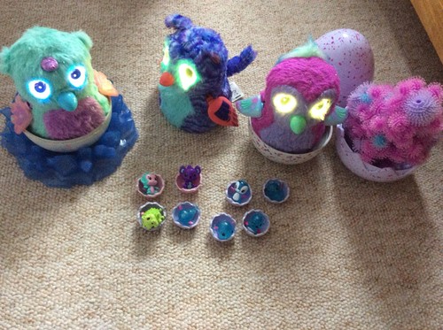 Hatchimals bundle - hatchimals,
