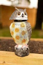 Garden pest control deterrent - garden,