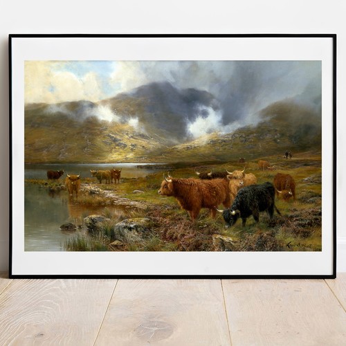 Art print highland cattle - print,