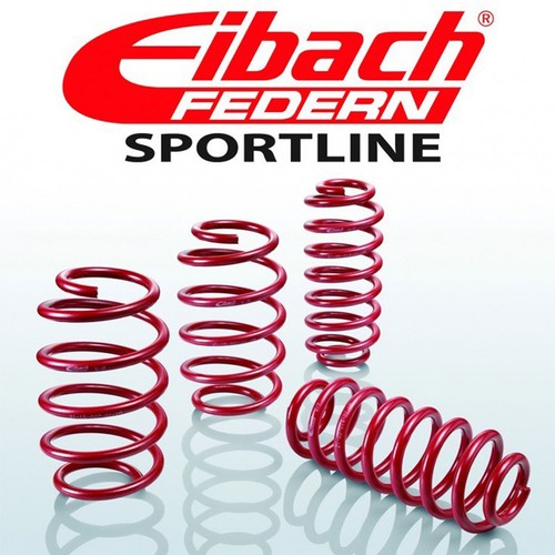 Eibach springs lowering - springs,