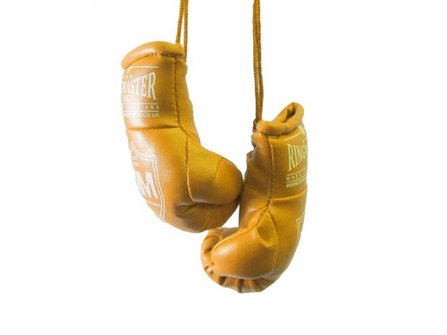 Ringmaster mini boxing gloves - mini,