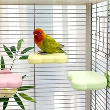 Bird Cage Toys Bird Resting