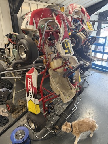 Cadet racing kart cc - go,