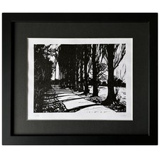 Framed Limited Edition