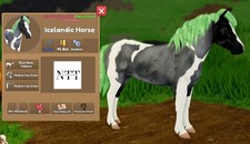 Wild Horse Islands - Blue Roan