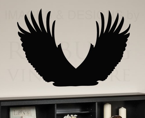 Wings large feathers - wings,