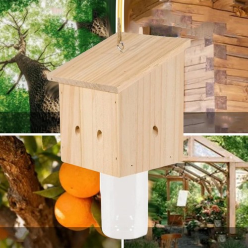 Carpenter bee trap with - carpenter, screw