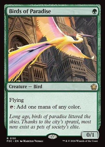Mtg birds paradise - ~, fdc