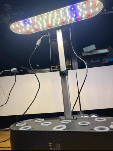 Hydroponics set used - hydroponics,