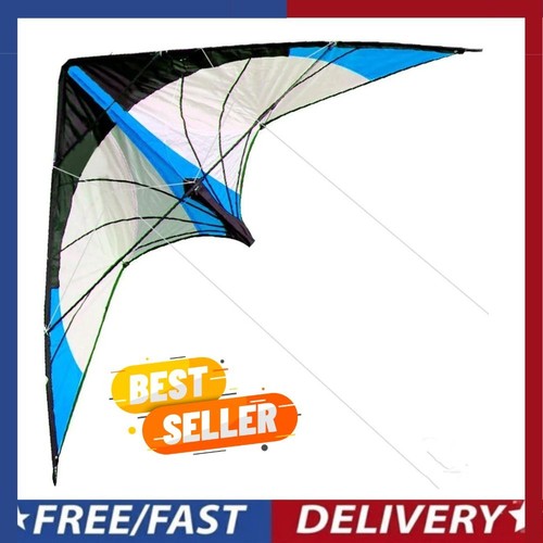 Yongjian large delta kite - 2m,