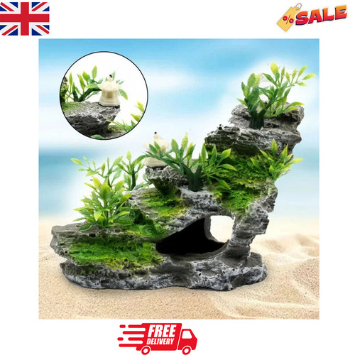 Aquarium fish tank - aquarium,