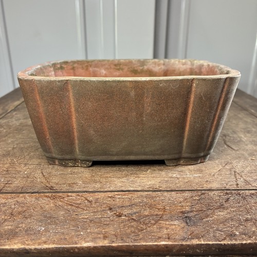 Tokoname ware bonsai pot - bonsai,