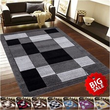 Modern Large Area Rug