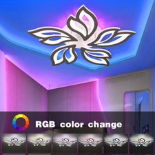 Modern LED Ceiling Light