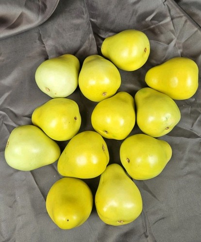 Pears apples artificial - apples,
