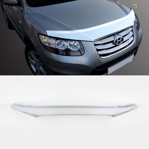 Chrome bug shield - chrome, bonnet