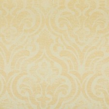 Damask & Stripe Vintage Fade