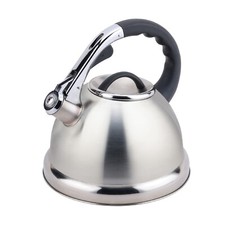 Whistling Kettle Stove Top