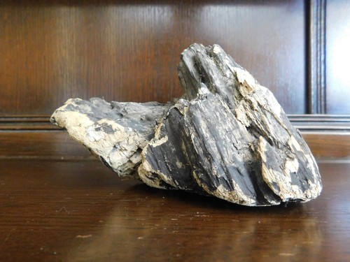 Chunky piece driftwood - piece,
