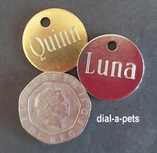 Id TAGS cats kitten small Dog