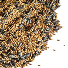 COCKATIEL 350g 1kg 2.5kg 5k