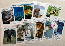 Lot of 11 Wildlife Fact File