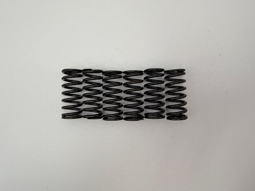 Clutch spring kit for 1996 - spring,