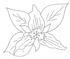 Embroidery Transfer Iron On