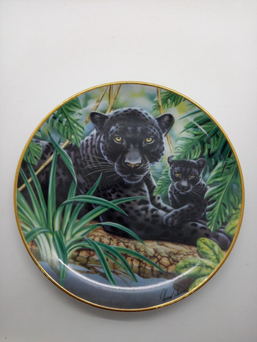 Riverwatch franklin mint - riverwatch,