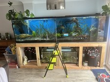 9ft Fish Tank
