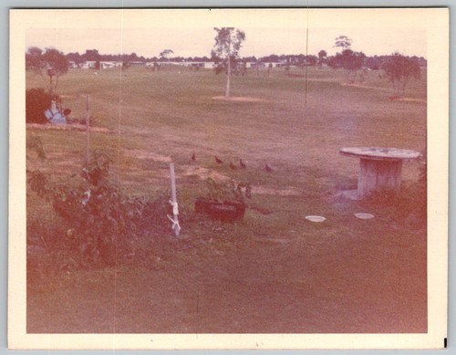 Vtg color snapshot family - snapshot,