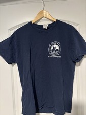 FDNY Engine 165 Ladder 85