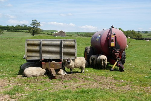 Photo farm equipment has - farm,