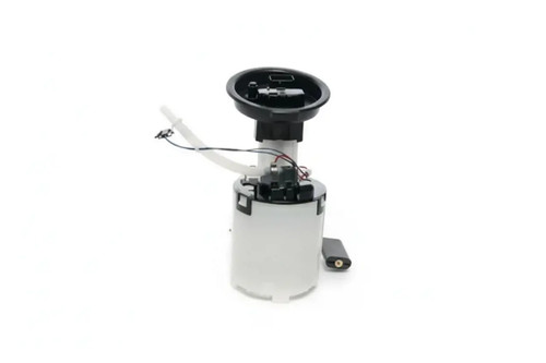 Fuel pump the - the, tank