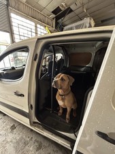 Fitted Dog Crates for Medium