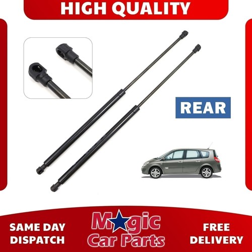 Tailgate boot gas struts - boot,