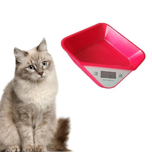 Digital pet scale - pet, veterinary