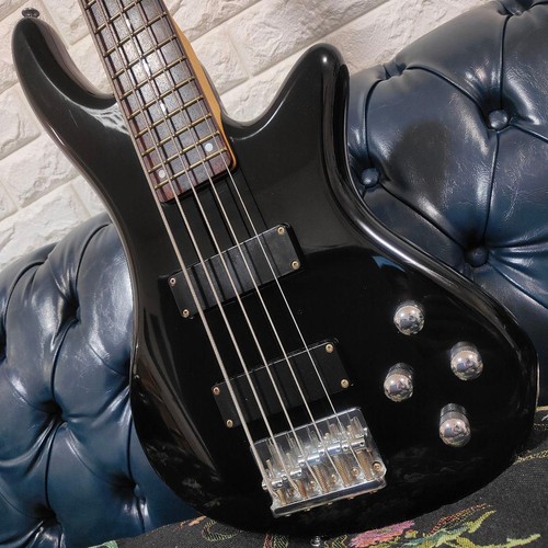 Schecter diamond series - schecter,
