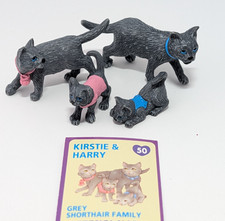 Vintage KITTY in My Pocket