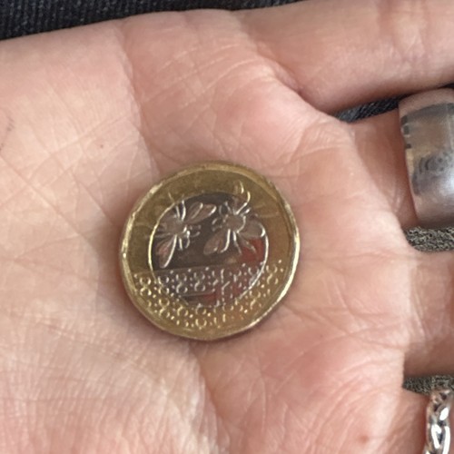 British one pound coin - british,